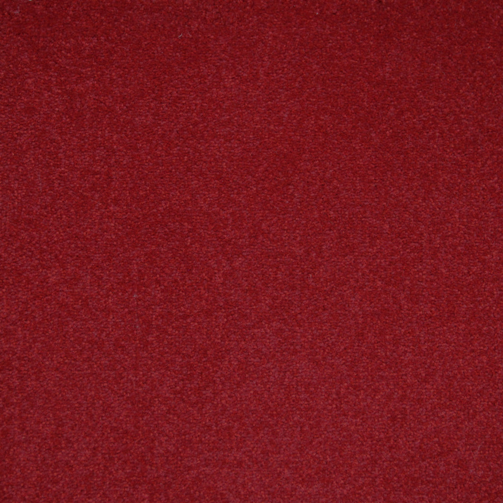 Carpete Westminster em Rolo - Five Stars Collection