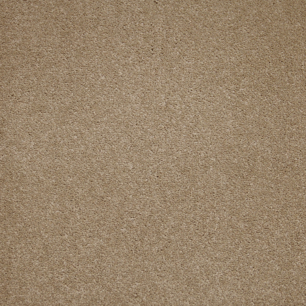 Carpete Westminster em Rolo - Five Stars Collection