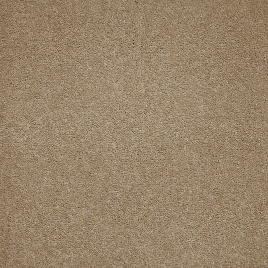 Carpete Westminster em Rolo - Five Stars Collection