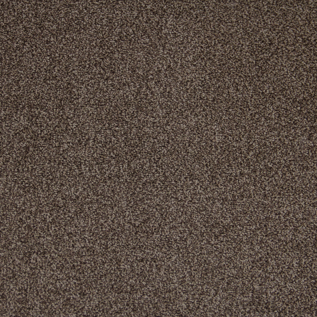 Carpete Westminster em Rolo - Five Stars Collection